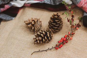 Autumn decoration of twigs and pine cones