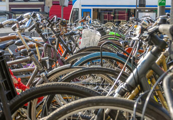 Fototapeta na wymiar Many Bicycles on a Sunny Day in Amsterdam
