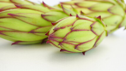 粘り気、豊富ドラゴンフルーツの蕾