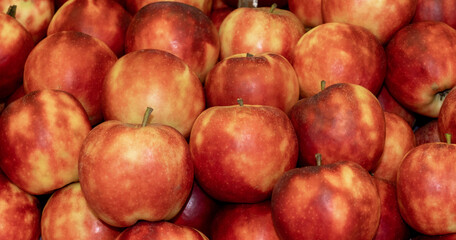 apple fruit background green dutch greenhouse street