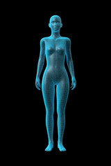 Woman's Body, Medical 3D Model, Female