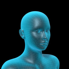 Woman's Head, Medical 3D Model, Female