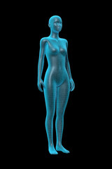 Woman's Body, Medical 3D Model, Female - 470243326