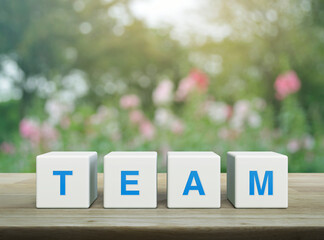 TEAM letter on white block cubes on wooden table over blur pink flower and tree in garden, Business teamwork communication concept