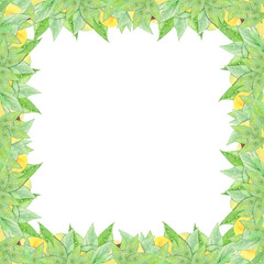watercolor frame with avocado on white background
