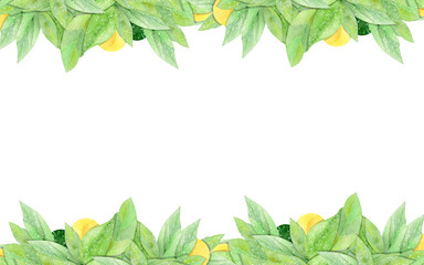 watercolor frame with avocado on white background