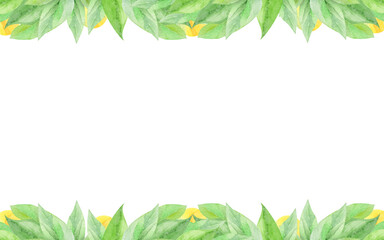 watercolor frame with avocado on white background