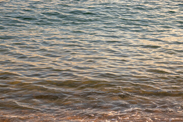 穏やかに揺れる水面