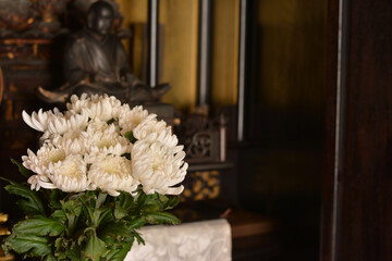 菊の花　仏壇