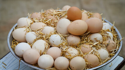 3 June World egg day,  eggs collection desi hen eggs, Eggs isolated