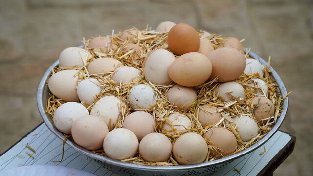 3 June World egg day,  eggs collection desi hen eggs, Eggs isolated
