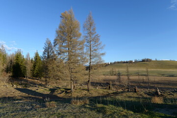 View of the North Chui mountain snow-covered ridge from the Kurai steppe. Gorny Altai, Kosh-Agachsky district, Russia