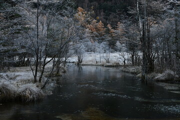 上高地風景 田代池 紅葉
