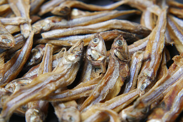 close up of dried fish on blue backgrund 