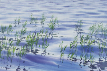 Water grass with reflections in the lake watercolor background
