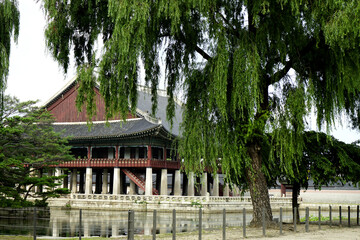 경복궁 문화재의 전통 건축물이 웅장하고 아름답습니다.