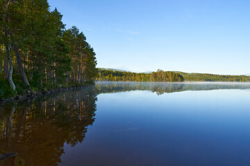 A lake in the morning mist