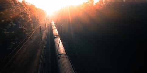 A freight train travels through a foggy forest. - Powered by Adobe