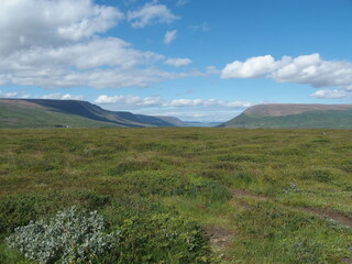 Beautiful icelandic landscape near Godafoss, Iceland
