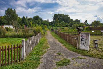 Weg zwischen Zaun in einer Gartenanlage, Leipzig, Sachsen, Deutschland