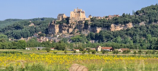 Medieval Chateau in Beynac et Cazenac in the Dordogne valley, France