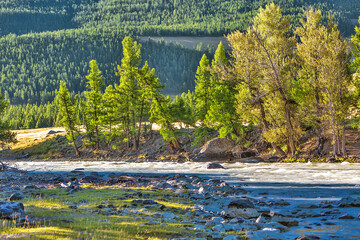 Chuya River in the Altai Mountains