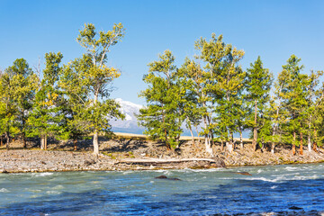 Chuya River in the Altai Mountains