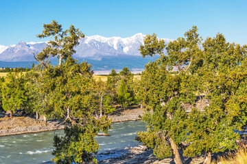Chuya River in the Altai Mountains