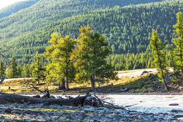 Chuya River in the Altai Mountains