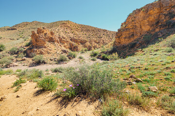 Desert landscape with dirt road and sparse shrubs in asian country with an arid climate and anhydrous soil. Extreme terrain wallpaper