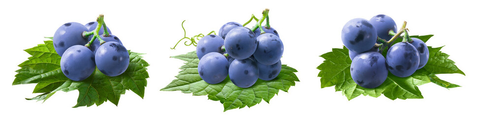 Small grape bunches on leaves set isolated on white background