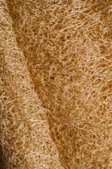 Texture of beige Loofah natural sponge close-up. - obrazy, fototapety, plakaty