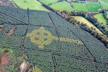 Aerial view of celtic cross growing in a forest in County Donegal - Ireland