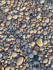 Pebbles on a Devon beach