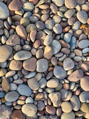 Pebbles on a Devon beach