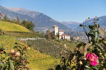 Burg Lebenberg in den Weinbergen bei Marling im Vinschgau (Südtirol)
