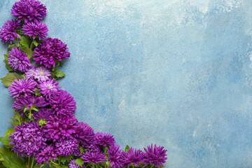 Beautiful aster flowers on color background