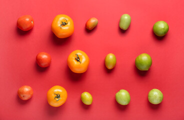 Different tomatoes on color background