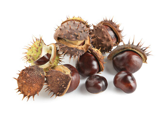 Pile of chestnuts on white background