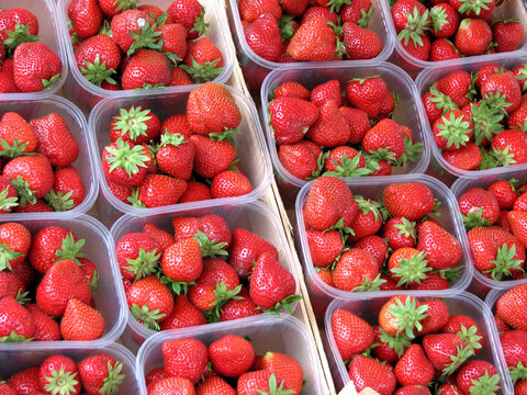 Barquette de fraises	