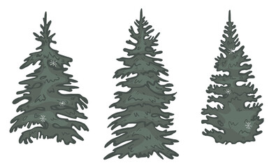 fir-trees vector. christmas trees vector cartoon. vector illustration. eps