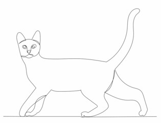 cat drawing one line on a white background, vector