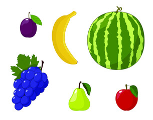 Vector set of fruits isolated on white background. Apple, pear, plum, grapes, banana, watermelon.