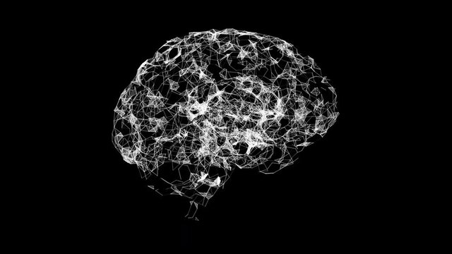 Digital generated animation of the brain on black background. Low poly Human brain Anatomical Model 3d animation