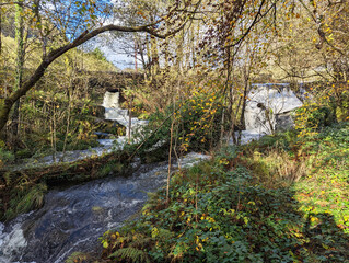 Fototapeta na wymiar The Llefenni River in autumn at Aberllefenni, Gwynedd, Wales, UK.