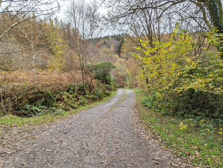 A remote farm track winding through the Welsh mountains in autumn.