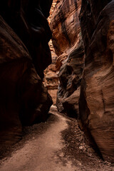 Beaten Down Trail Snakes Through Narrow Slot Canyon