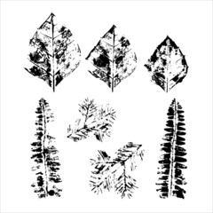 set of leaf prints for various designs