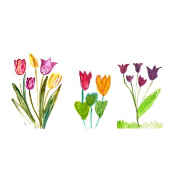 set of tulips painted with watercolors, children's drawing of tulips with watercolors