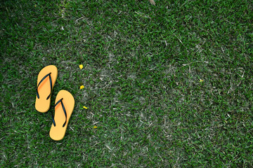 Orange flip-flops on green grass.